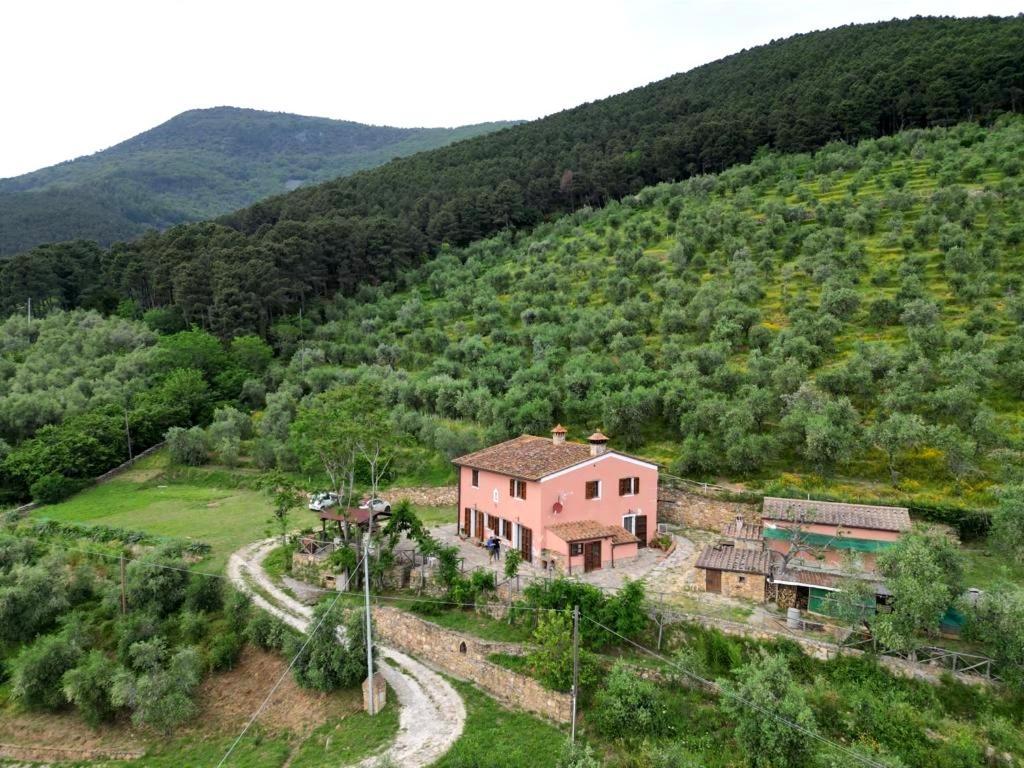 Olive House Tuscany - Zona Pisa Кальчи Экстерьер фото
